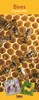 2027 Slim Month To View Spiral Bound Photo Wall Calendar - Bees & Flowers