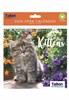 2026 Spiral Bound Wiro Flip Desk Top Cat Photo Calendar - Cute Kittens