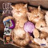 2027 Square Month To View Animal Cat Photo Wall Calendar - Kittens