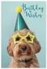 Open Birthday Card - Cute Puppy with Party Hat and Glasses  7.75" x 5.25"