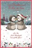 Brother & Sister-in-Law Christmas Card - Penguin Couple with Red Foil 9x6"