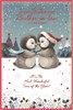 Sister & Brother-in-Law Christmas Card - Penguin Couple with Red Foil 9x6"