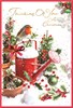 Thinking Of You Christmas Card - Red Robin and Watering Can Gold Foil 7.5x5.25
