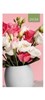 2026 Slim Pocket 2 Week To View Soft back Floral Diary - Pink & White Flowers