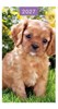 2027 Slim Pocket 2 Week To View Softback Dog Diary - Golden Puppy