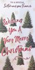 Sister & Fiance Christmas Card - Xmas Trees and Snowflakes with Red Foil 9x4"