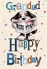 Grandad Birthday Card - Knitted Dog Reading Newspaper and Stars 7.75x5.25"