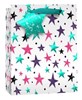 Medium Gift Bag - White with Green Blue and Pink Stars and Foil Tag 10x8.5"