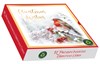 Box Of 12 Scenic Premium Inserted Christmas Cards - Robin on Holly Branch
