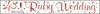 Anniversary 40 Ruby Foil Party Banner - Ruby 40th Anniversary