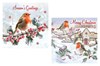 Pack of 12 Scenic Square Christmas Cards - Robins and Holly with Red Foil
