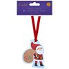 Pack of 8 Pre Strung Shaped Christmas Gift Tags - Santa and Sack with Ribbon