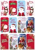 Pack Of 12 Christmas Money Wallet Gift Cards & Envelopes Cute Modern Traditional