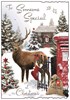 Jonny Javelin Someone Special Christmas Card -Stag in Garden Glitter Foil 9x6.25