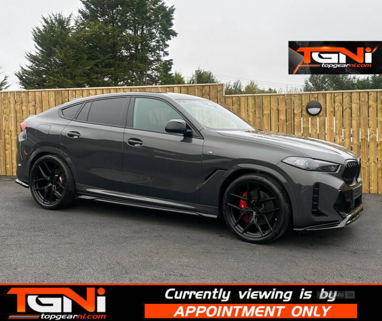 2023 BMW X6