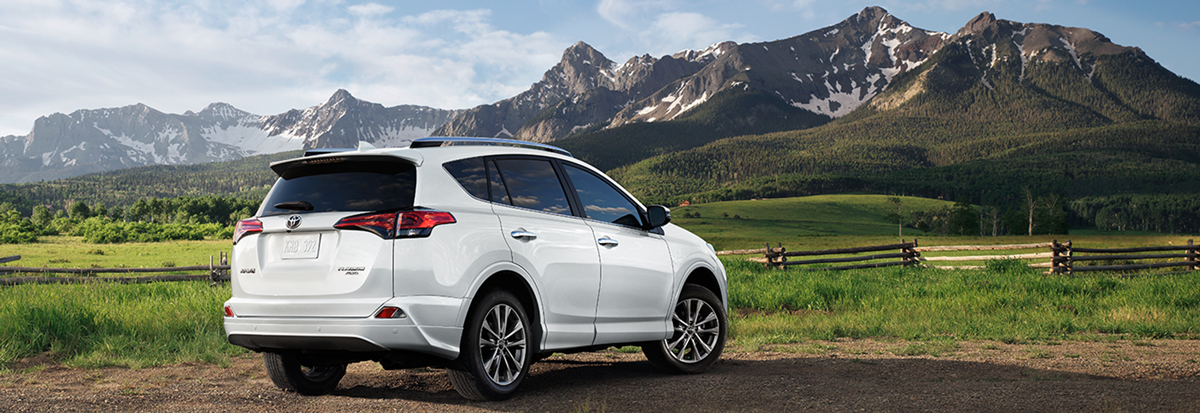 toyota-rav-4-carnovo