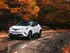 טויוטה C-HR היברידי 2016 - 2017 פנאי שטח  -  שנהב לבן  - מבט מלפנים