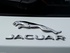 יגואר F-PACE 2016 - 2017 פנאי שטח    - סמל אחורי