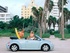 פולקסווגן החיפושית החדשה 1998 - 2008 גג נפתח    - מבט מהצד, עם דוגמן