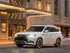 מיצובישי אאוטלנדר PHEV 2014 - 2017 פנאי שטח  -  שנהב לבן 