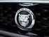 יגואר F-TYPE 2013 - 2016 גג נפתח    - סמל קדמי