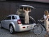 קרייזלר 300C 2005 - 2009     - מבט מאחור, תא מטען