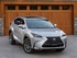 לקסוס NX300H 2014 - 2016 פנאי שטח  -  אפור  - מבט מלפנים