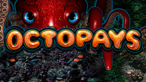 OCTOPAYS