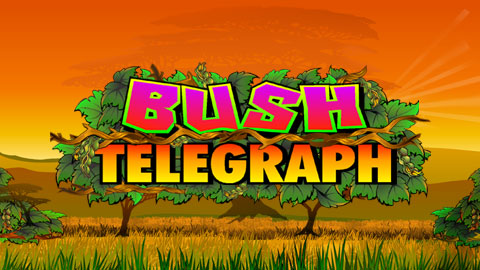 BUSH TELEGRAPH