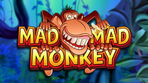 MAD MAD MONKEY