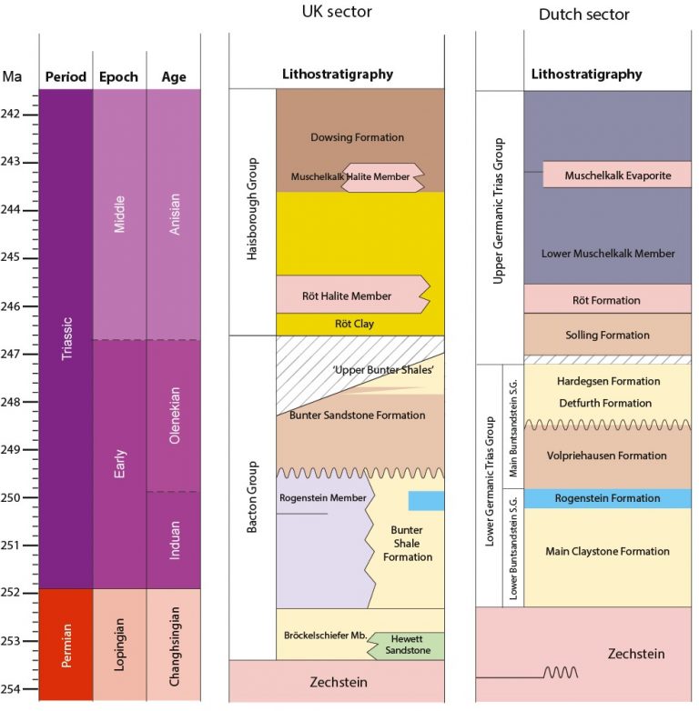 Bunter Project Stratigraphy