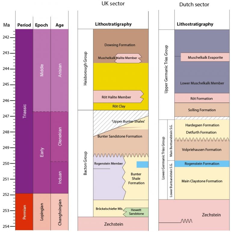 Bunter Project Stratigraphy