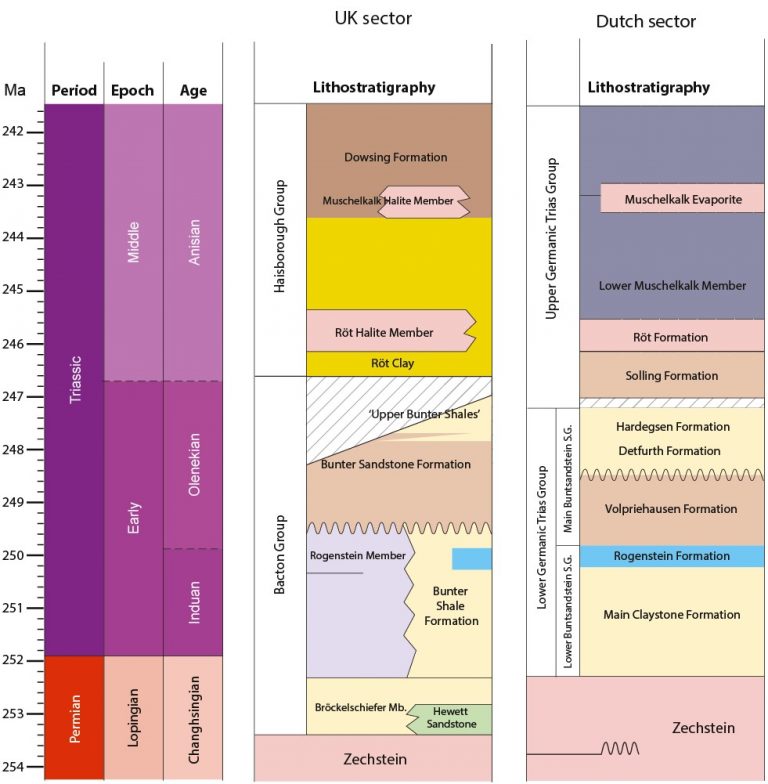 Bunter Project Stratigraphy