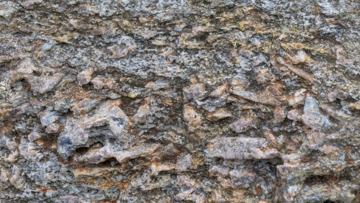 Polymorphs in a metamorphosed pelite