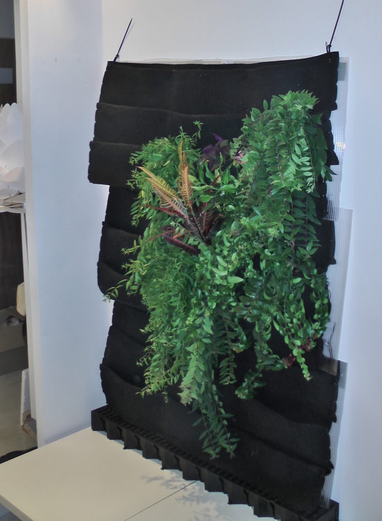 The Prototype DIY Living Green Wall Catch IT!