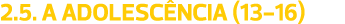2.5. A ADOLESCÊNCIA (13-16)