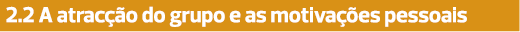 2.2 A atracção do grupo e as motivações pessoais 