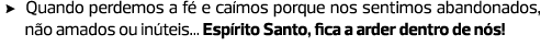 Quando perdemos a fé e caímos porque nos sentimos abandonados, não amados ou inúteis... Espírito Santo, fica a arder ...