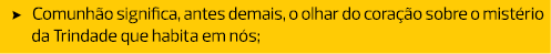 Comunhão significa, antes demais, o olhar do coração sobre o mistério da Trindade que habita em nós;