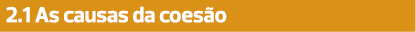 2.1 As causas da coesão