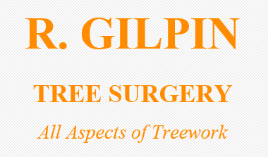 R Gilpin Tree Surgery