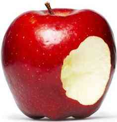 Adam & Eve Home & Garden Creations