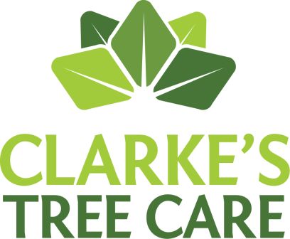 Clarke's Tree Care Ltd
