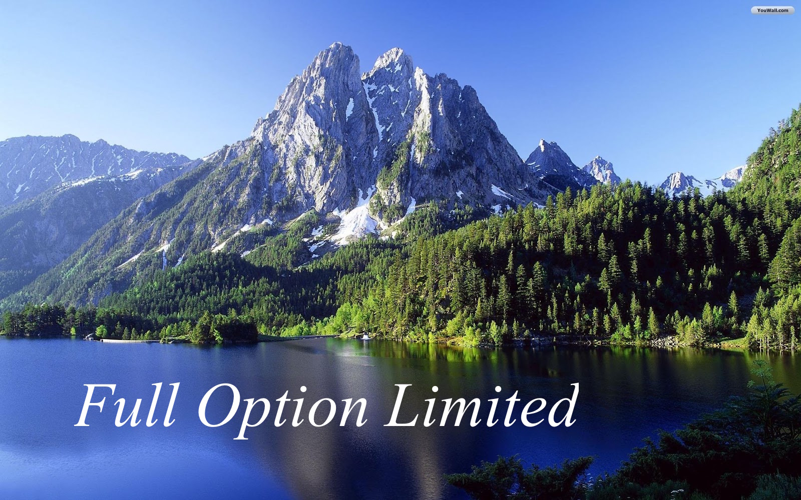 Full Option Limited