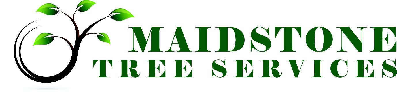 Maidstone Tree Services