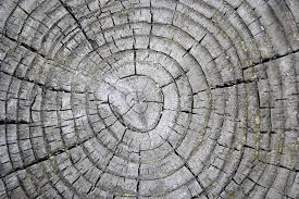 Trade profile image