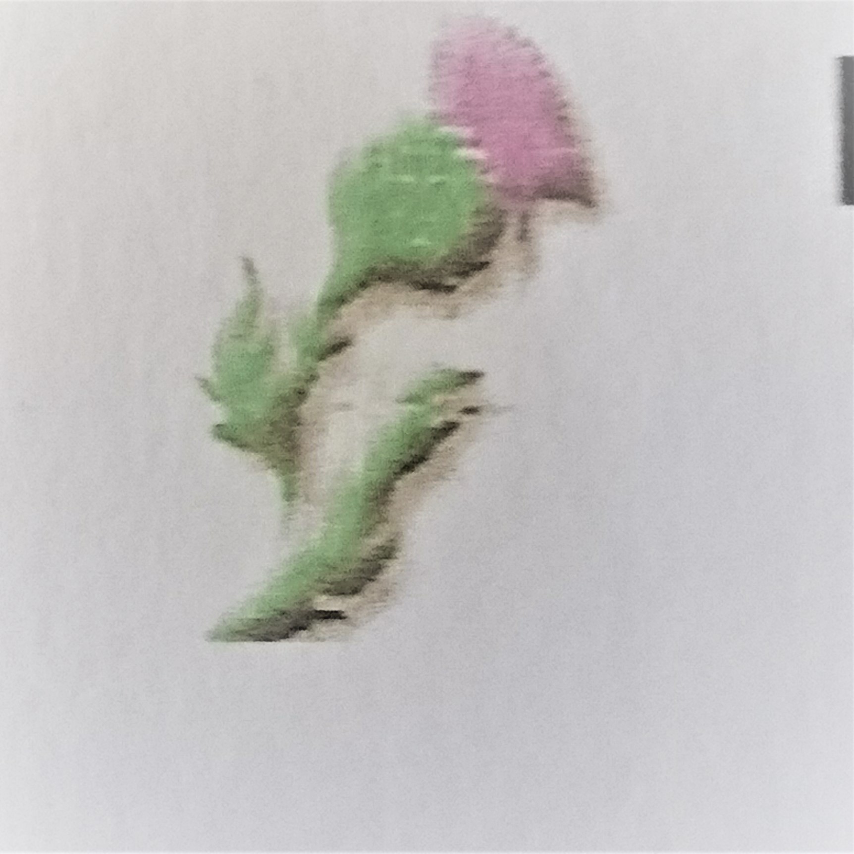 Trade profile image