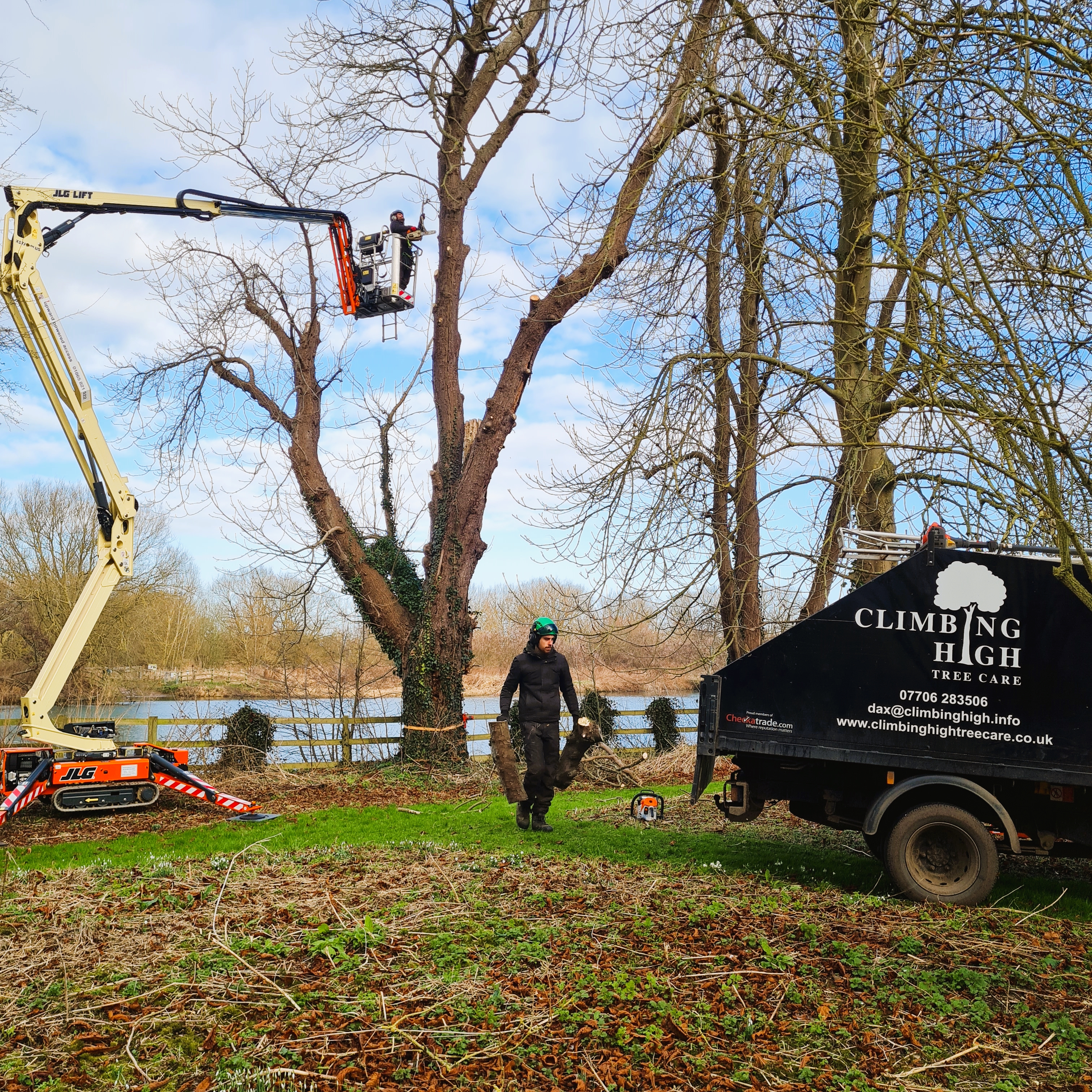 tree surgeon near me checkatrade