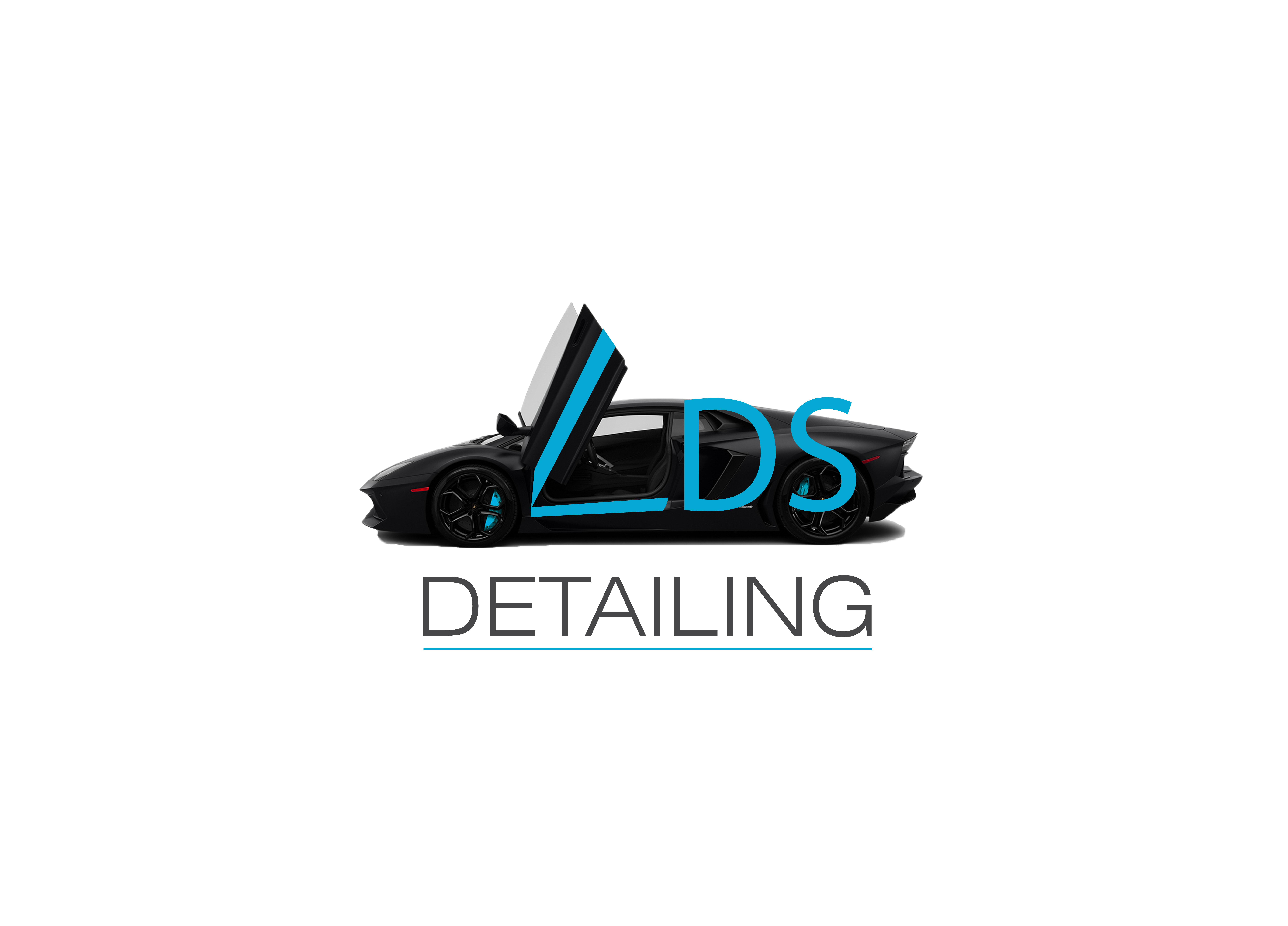 LDS Detailing