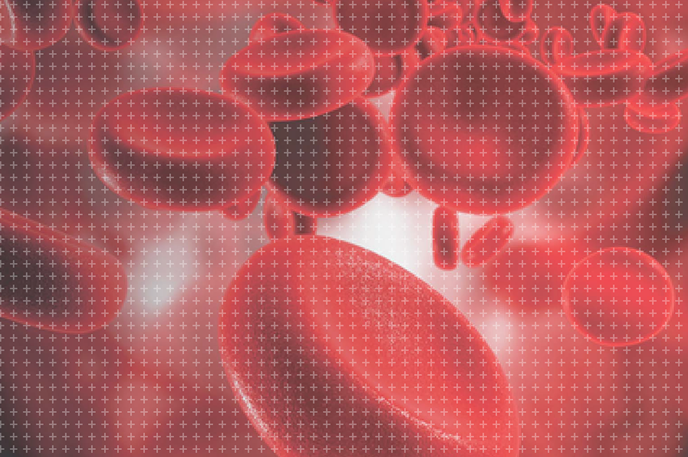 blood cells